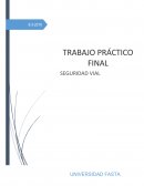 Seguridad vial - transporte de sustancias peligrosas