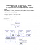 GUÍA DE PROYECTO DE DISEÑO DE PLANTAS INDUSTRIALES