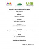 Ensayo del libro: Como ganar amigos e influir en las personas