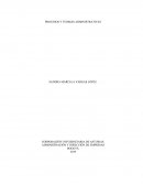 PROCESOS Y TEORIAS ADMINISTRATIVAS