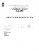 PROPUESTA DE UN MODELO DE SIEMBRA URBANA DIRIGIDO A LOS ESTUDIANTES DE LA UNEFA NÚCLEO CARABOBO EXTENSIÓN BEJUMA