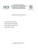 Análisis del libro “El Arcánge"