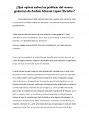 ¿Qué opinas sobre las políticas del nuevo gobierno de Andrés Manuel López Obrador?