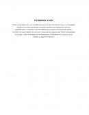 ESTADISTICA caso