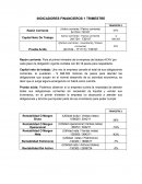 INDICADORES FINANCIEROS 1 TRIMESTRE