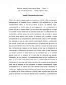 Problemas de aprendizaje. Tarea #1. Descripción de un caso