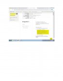 PREGUNTAS DINAMIZADORAS