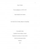 Procesos pedagógicos en el PCN y el EZLN. Teoría de los Movimientos Sociales