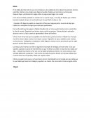 La vida es otra cosa