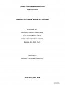 FUNDAMENTOS Y GERENCIA DE PROYECTOS (FGPR)