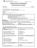 Prueba Libro Cómo domesticar a tus papás