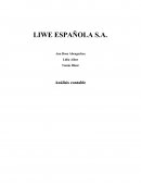 Analisis de estados financieros Liwe Española S.A