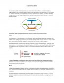 Diseño y designio complejo