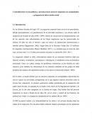 Menores migrantes no acompañados