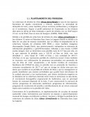 PLAN PARA RECUPERACIÓN DE MASA BOSCOSA