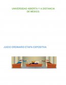 JUICIO ORDINARIO ETAPA EXPOSITIVA