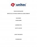 IMPACTO DE LA ACTIVIDAD HUMANA EN EL MEDIO AMBIENTE