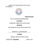 SOFTWARE DE APLICACIÓN EJECUTIVO ”ENSAYO 4TA EXPOSICIÓN”