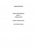 Laboratorio #01 (Soluciones conductoras de energía)