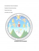 INFORME DE VISITA PRELIMINAR