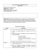 Planificación 2º grado Curso: Introducción a la Alfabetización Inicial