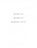 Derecho civil, los atributos de las personas jurídicas