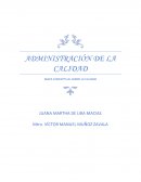 Administración de la calidad. Mapa conceptual sobre la calidad