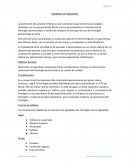 Informe de Pasantias. Proceso Productivo del Hormigón