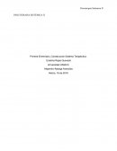 PSICOTERAPIA SISTÉMICA II Primera Entrevista y Construcción Sistema Terapéutico