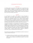 Contaminación por Plásticos