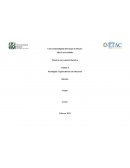 PARADIGMA COCNOSCITIVISTA