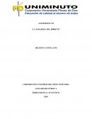 ANTEPROYECTO LA PARADOJA DEL BIRRETE