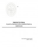 DESARROLLO DEL PROYECTO MODELADO DE LA EMPRESA SUMINISTROS & ALIMENTOS
