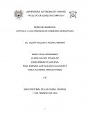 Organos de Gobierno Municipal