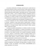 INFORME DE PASANTIAS INCREMAT