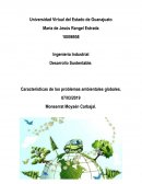 Características de los problemas ambientales globales