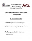 Por que es importante saber escribir?