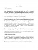 Estrellas en la tierra