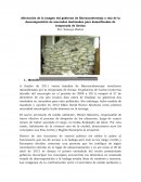 Afectación de la imagen del gobierno de Barrancabermeja a raíz de la descomposición de mercados destinados para damnificados de temporada de lluvias