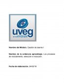 GRUPO EDITORIAL MARTINICA S.A. DE C.V.