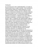 Fertilizacion