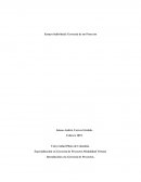 Ensayo Individual: Gerencia de un Proyecto