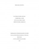 RELATORIA CAPITULO 3 VYGOTSKY