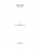 INFORME EJECUTIVO TIENDA CENTRO