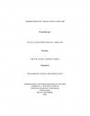 TEMPERAMENTOS Y DEFECTOS DE CARÁCTER