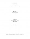 BIOTECNOLOGIA TRABAJO COLABORATIVO FASE 2