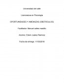 OPORTUNIDADES Y AMENAZAS (OBSTÁCULOS)