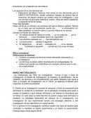 La metodología del Perfil de investigación