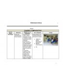 Cuadro Comparativo Enfermería