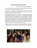 Día de las lenguas nativas en el Perú